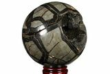 Polished Septarian Geode Sphere - Madagascar #134439-1
